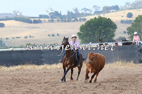 BraidwoodCampdraft2014_0497