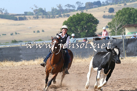 BraidwoodCampdraft2014_0576