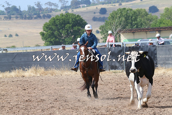 BraidwoodCampdraft2014_0548