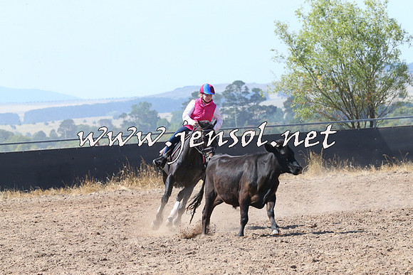 BraidwoodCampdraft2014_0607