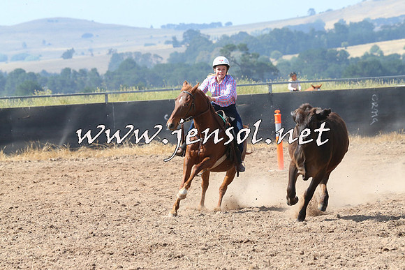 BraidwoodCampdraft2014_0583
