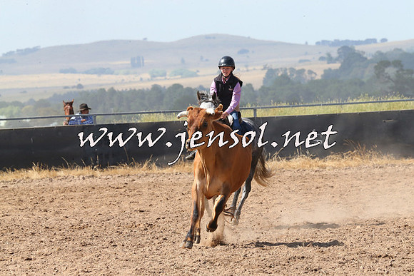 BraidwoodCampdraft2014_0588