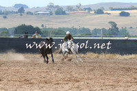 BraidwoodCampdraft2014_0433