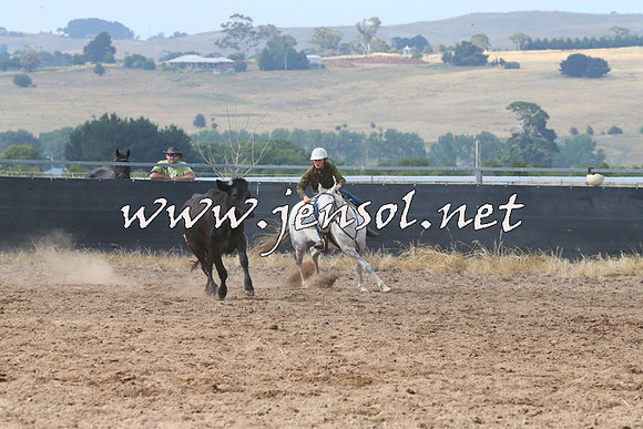 BraidwoodCampdraft2014_0433