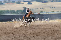 BraidwoodCampdraft2014_0482