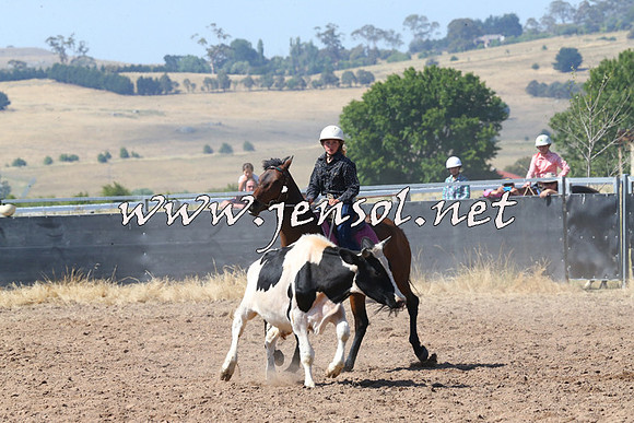 BraidwoodCampdraft2014_0620
