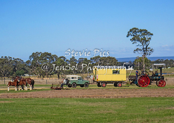 aaSSHeyfield_0121