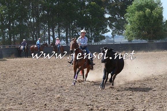 BraidwoodCampdraft2014_0529