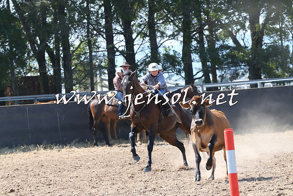 BraidwoodCampdraft2014_0616