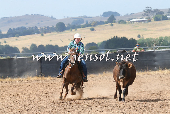 BraidwoodCampdraft2014_0538