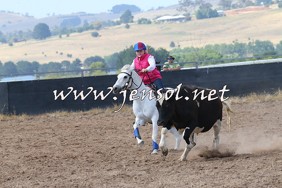 BraidwoodCampdraft2014_0554