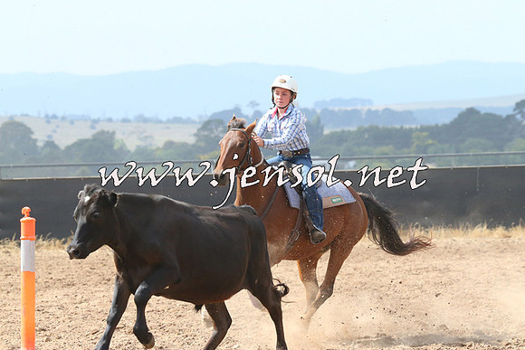 BraidwoodCampdraft2014_0522