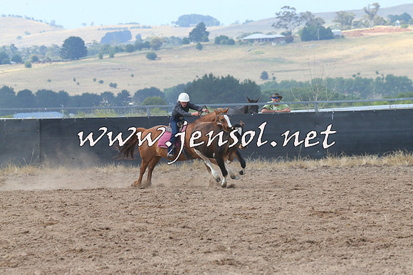 BraidwoodCampdraft2014_0516
