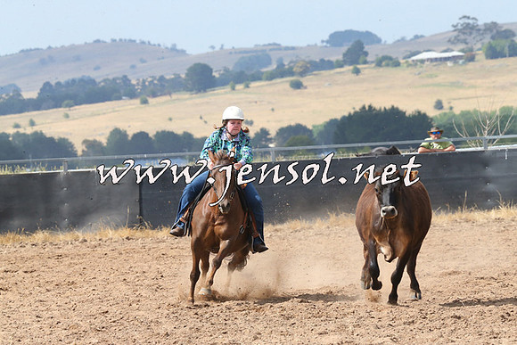 BraidwoodCampdraft2014_0537