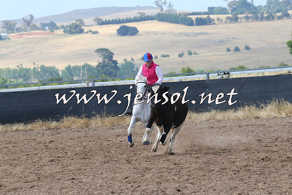 BraidwoodCampdraft2014_0552
