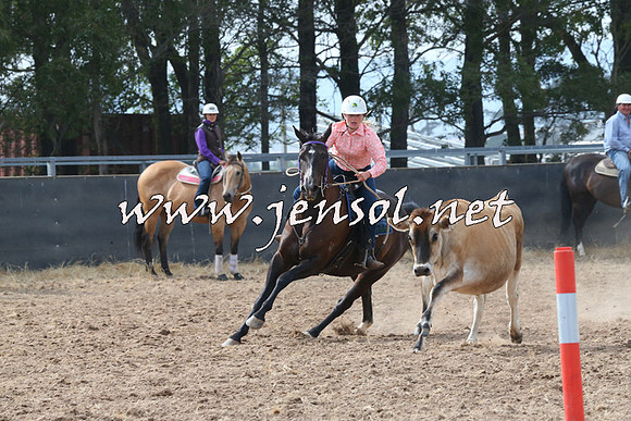 BraidwoodCampdraft2014_0450