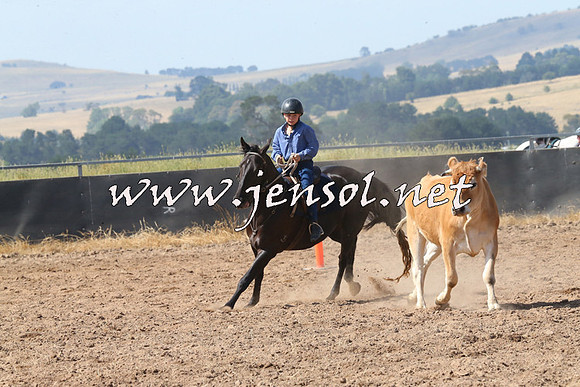 BraidwoodCampdraft2014_0591