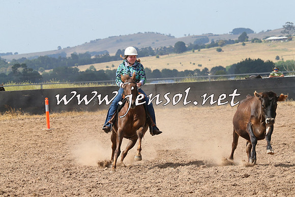 BraidwoodCampdraft2014_0539