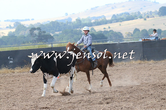 BraidwoodCampdraft2014_0562