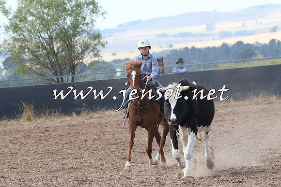 BraidwoodCampdraft2014_0563