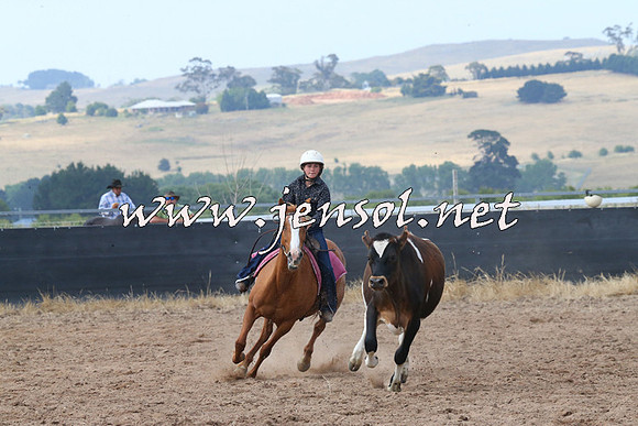 BraidwoodCampdraft2014_0506