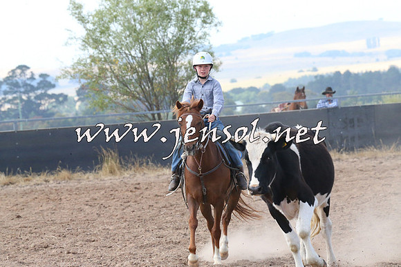 BraidwoodCampdraft2014_0566