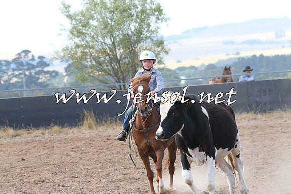 BraidwoodCampdraft2014_0565