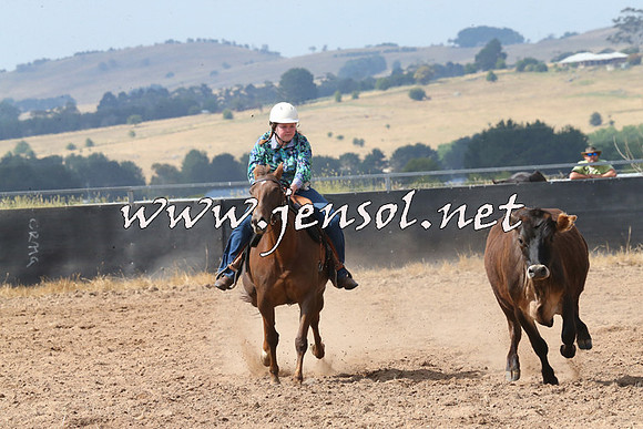 BraidwoodCampdraft2014_0543