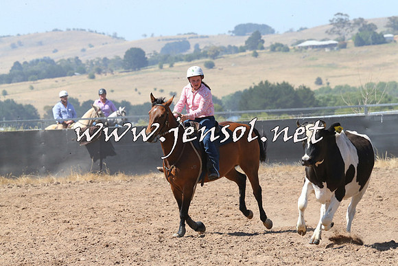 BraidwoodCampdraft2014_0629