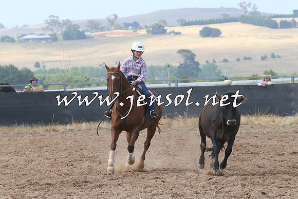 BraidwoodCampdraft2014_0486