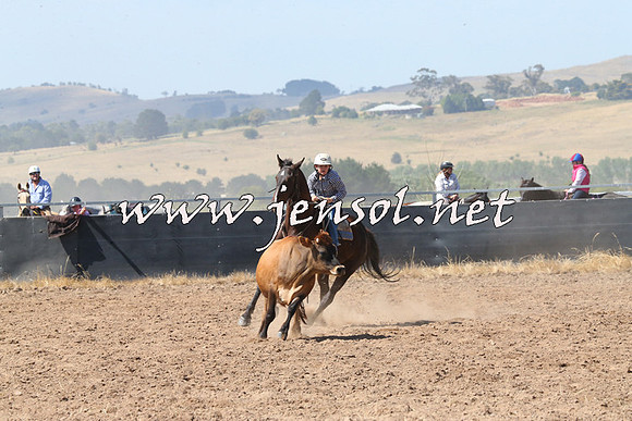 BraidwoodCampdraft2014_0613