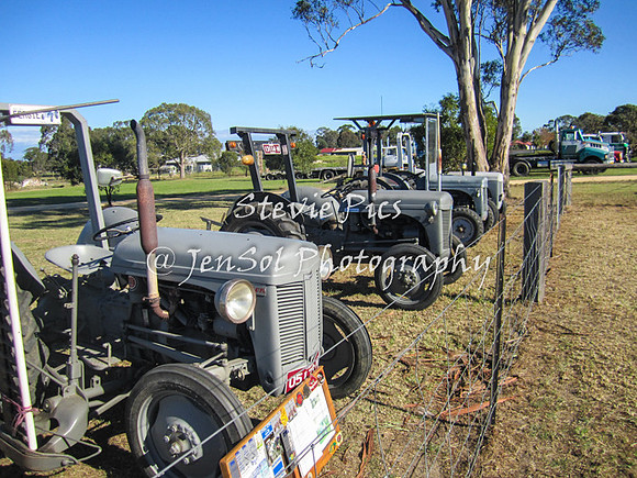 SSHeyfield_0054