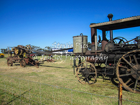SSHeyfield_0141