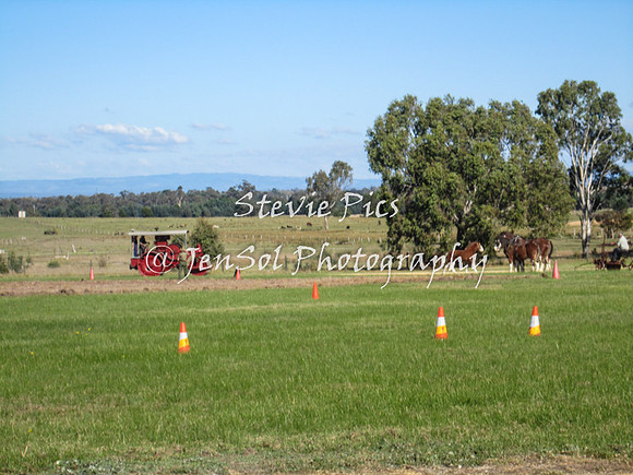 SSHeyfield_0116