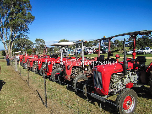 SSHeyfield_0059