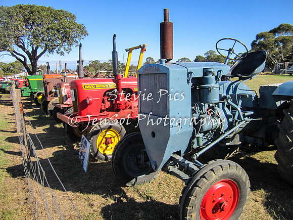 SSHeyfield_0043