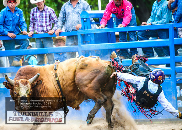 MoruyaRodeo2019_4121