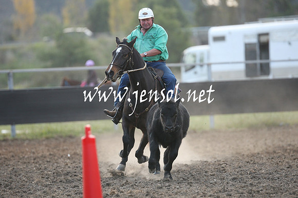 MossValeCampdraft2013_1252