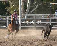 MossValeCampdraft2013_1204