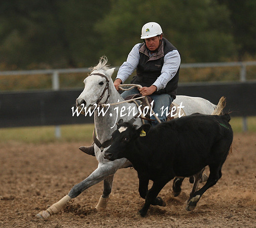 MossValeCampdraft2013_1536