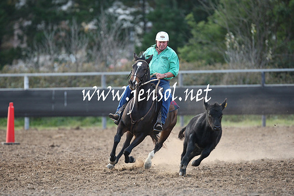 MossValeCampdraft2013_1245
