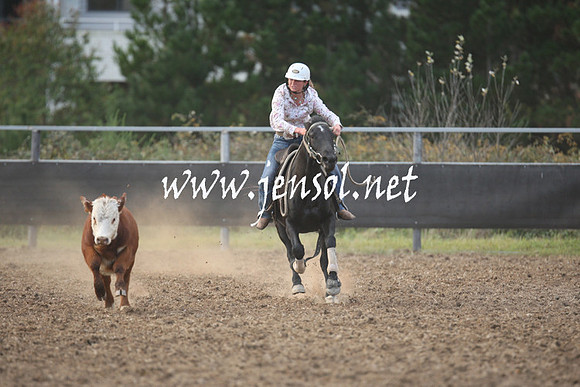 MossValeCampdraft2013_1284