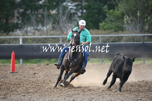 MossValeCampdraft2013_1247