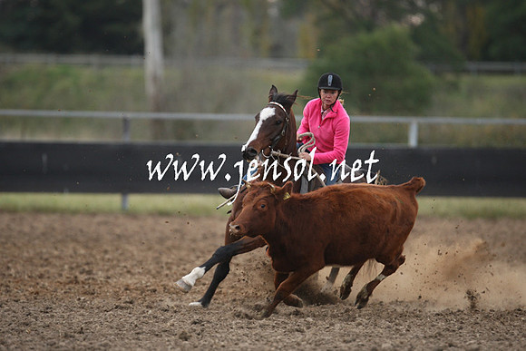 MossValeCampdraft2013_1325