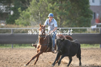 MossValeCampdraft2013_1207