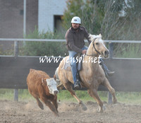 MossValeCampdraft2013_1237