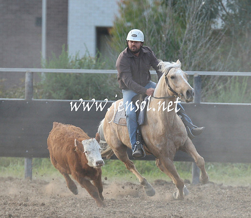 MossValeCampdraft2013_1237