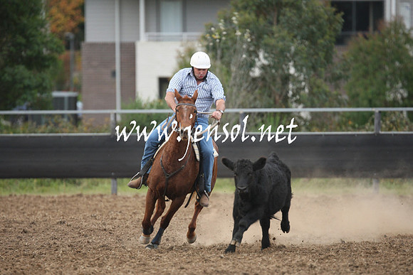 MossValeCampdraft2013_1298