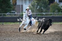 MossValeCampdraft2013_1233