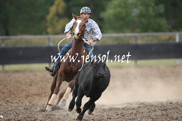 MossValeCampdraft2013_1292